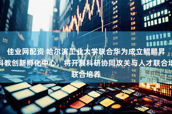 佳业网配资 哈尔滨工业大学联合华为成立鲲鹏昇腾科教创新孵化中心，将开展科研协同攻关与人才联合培养