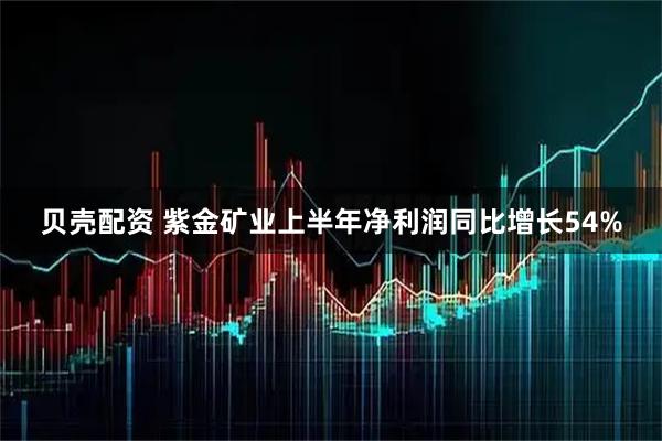 贝壳配资 紫金矿业上半年净利润同比增长54%