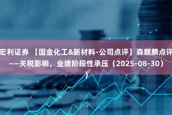 宏利证券 【国金化工&新材料-公司点评】森麒麟点评——关税影响，业绩阶段性承压（2025-08-30）