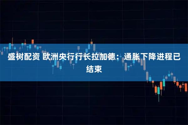 盛树配资 欧洲央行行长拉加德：通胀下降进程已结束