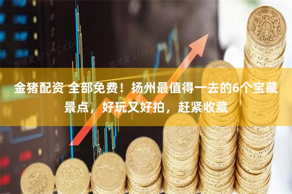 金猪配资 全部免费！扬州最值得一去的6个宝藏景点，好玩又好拍，赶紧收藏
