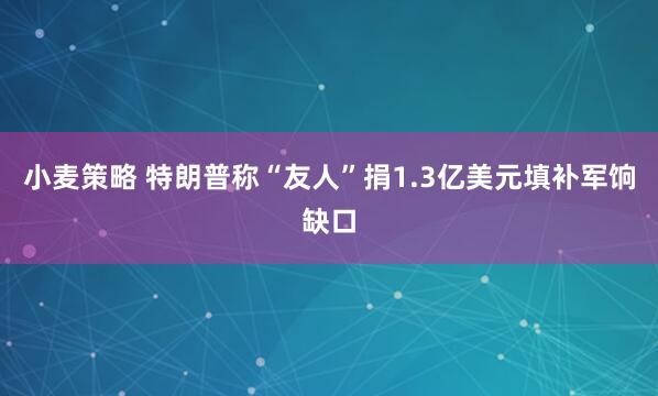小麦策略 特朗普称“友人”捐1.3亿美元填补军饷缺口