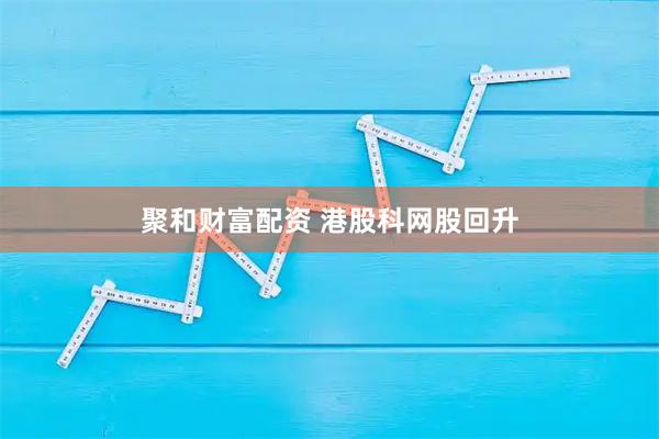 聚和财富配资 港股科网股回升