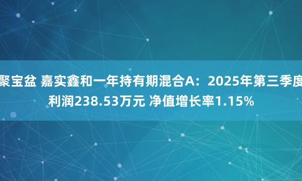 聚宝盆 嘉实鑫和一年持有期混合A：2025年第三季度利润238.53万元 净值增长率1.15%