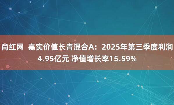 尚红网  嘉实价值长青混合A：2025年第三季度利润4.95亿元 净值增长率15.59%