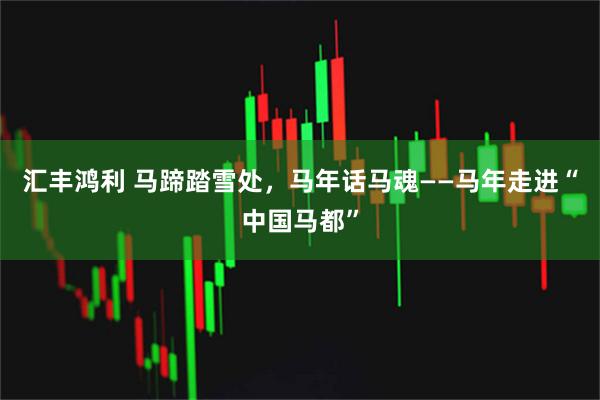 汇丰鸿利 马蹄踏雪处，马年话马魂——马年走进“中国马都”